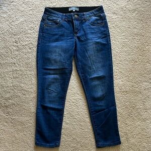 Wit & Wisdom denim